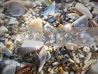 家里人信用卡無力償還(我信用卡欠款無力償還,和家里人有關(guān)系嗎)