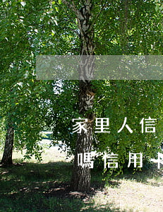 家里人信用卡逾期對(duì)自己有影響嗎（信用卡逾期法院會(huì)到家里來(lái)嗎）