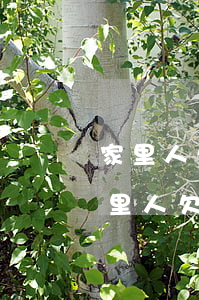 家里人欠網(wǎng)貸我要如何處理(家里人欠網(wǎng)貸我要如何處理)