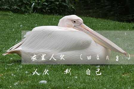 家里人欠網(wǎng)貸會影響家人嗎(家人欠貸影響自己嗎)
