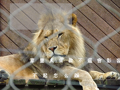 家里人貸款不還會影響到我們嗎（家有貸款還不起怎么辦）