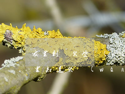 家里到處欠些網(wǎng)貸怎么處理(家里知道欠網(wǎng)貸的錢)