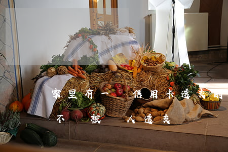 家里有一個信用卡透支的人(自己的信用卡會不會被別人透支)