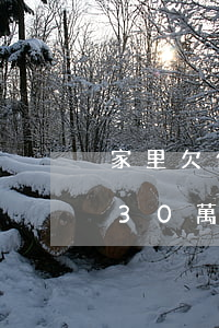 家里欠信用卡30萬(wàn)(欠了信用卡30萬(wàn)怎么辦)