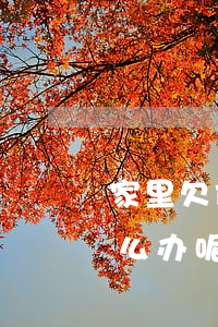家里欠债十几万怎么办-家里欠债十几万怎么办呢