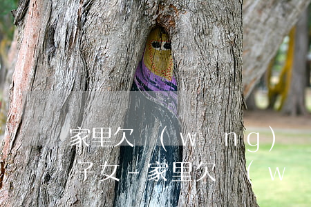 家里欠網(wǎng)貸銀行錢會不會影響子女-家里欠網(wǎng)貸銀行錢會不會影響子女政審