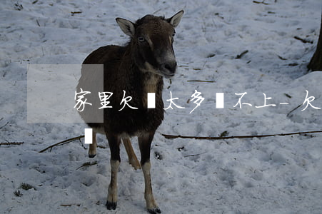 家里欠錢太多還不上-欠錢太多還不上怎么辦