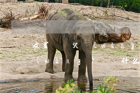 家里沒錢欠網(wǎng)貸不敢說(沒借網(wǎng)貸為什么會(huì)有網(wǎng)貸說欠錢)