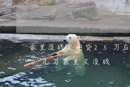 家里没钱欠网贷25万应该怎么办(欠网贷10几万家里又没钱)
