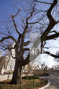 家里负债几十万怎么办-家里负债几十万怎么办 爸爸很危险