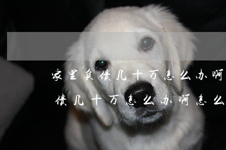 家里负债几十万怎么办啊怎么解决-家里负债几十万怎么办啊怎么解决呢
