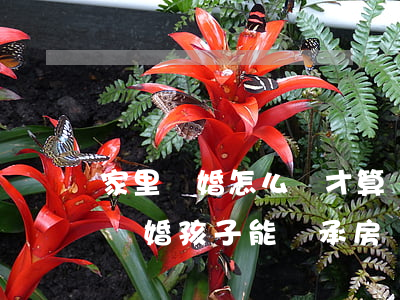 家里離婚怎么樣才算繼承房產(chǎn)(離婚孩子能繼承房產(chǎn)嗎)
