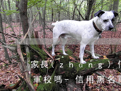 家長(zhǎng)信用卡逾期影響孩子考軍校嗎-信用黑名單影響孩子考軍校嗎