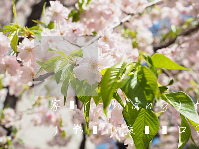 家長(zhǎng)信用卡逾期會(huì)影響小孩嗎 兩口子信用卡都逾期了對(duì)孩子有什么影響