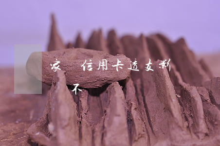 家長信用卡透支影響簽證(信用卡逾期影響簽證不)