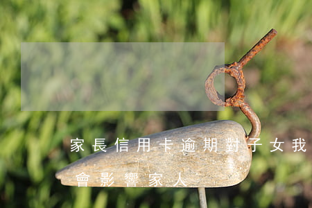 家長信用卡逾期對子女(我信用卡逾期了會不會影響家人)