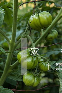 家長銀行貸款逾期被拉黑(銀行貸款逾期多久會上黑名單)