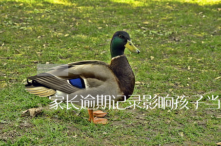 家长逾期记录影响孩子当兵政审吗
