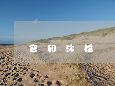容巖和葉沐離婚