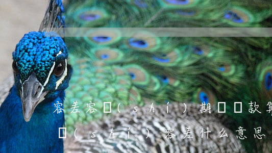 容差容時(shí)期間還款算逾期(還款容時(shí)容差什么意思)