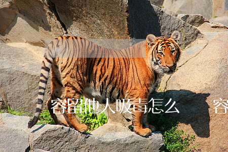 容留他人吸毒怎么處罰（容留他人吸毒罪的主觀問題）