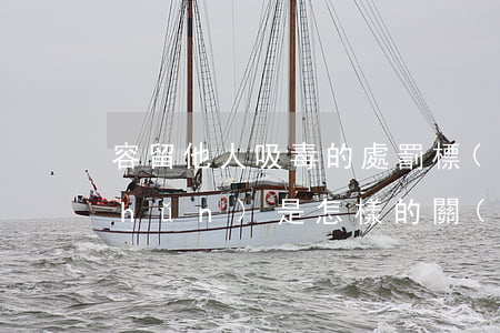 容留他人吸毒的處罰標(biāo)準(zhǔn)是怎樣的（關(guān)于容留他人吸毒罪的認(rèn)定）