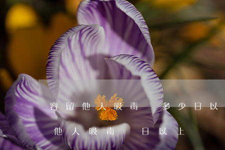容留他人吸毒處多少日以上十五日以下(容留他人吸毒幾日以上)