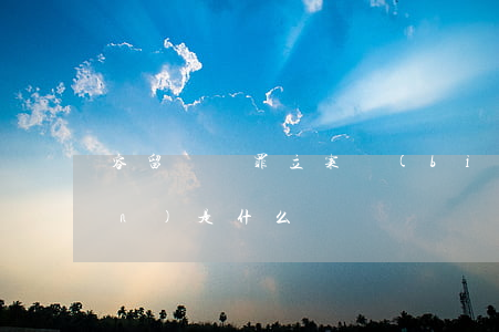 容留賣婬罪立案標(biāo)準(zhǔn)是什么