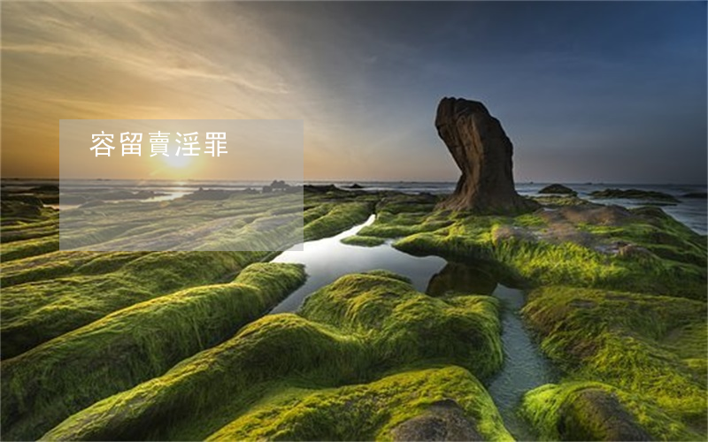 容留賣淫罪