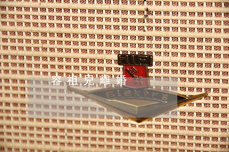 容祖兒離婚
