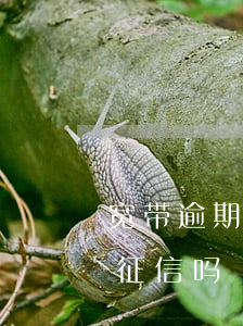 宽带逾期不知道上征信吗 宽带逾期不知道上征信吗