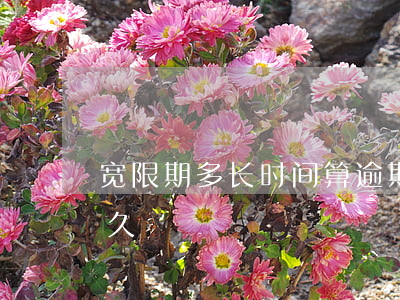 宽限期多长时间算逾期(贷款逾期宽限期是多久)