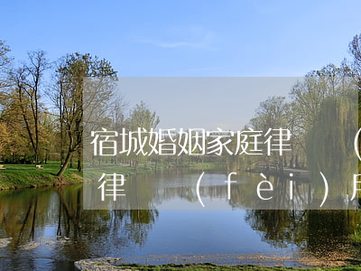 宿城婚姻家庭律師費(fèi)用多少(宿遷律師費(fèi)用收取標(biāo)準(zhǔn))