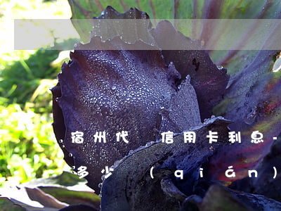 宿州代還信用卡利息-宿州代還信用卡利息多少錢(qián)