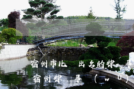 宿州市比較出名的律師事務(wù)所(安徽宿州律師事務(wù)所咨詢電話)