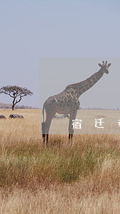 宿迁专业债务律师-宿迁专业债务律师