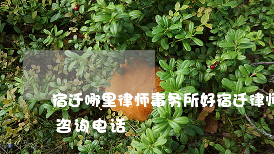 宿迁哪里律师事务所好(宿迁律师事务所免费咨询电话)