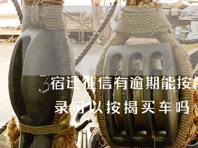 宿迁征信有逾期能按揭买车吗(征信有逾期记录可以按揭买车吗)
