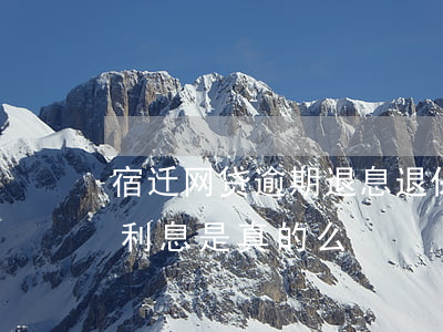宿迁网贷逾期退息退保的方法技术-退网贷利息是真的么
