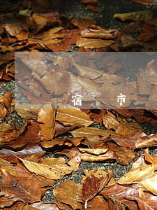 宿遷市債務(wù)清償律師怎么委托