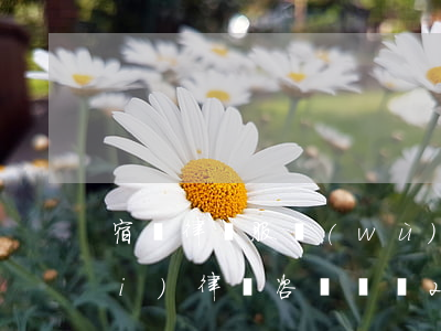 宿遷律師服務(wù)平臺(宿遷免費(fèi)律師咨詢電話24小時(shí))