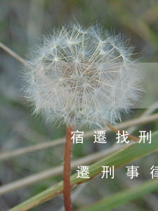 宿遷找刑辯律師一般怎么收費(fèi)(宿遷刑事律師)