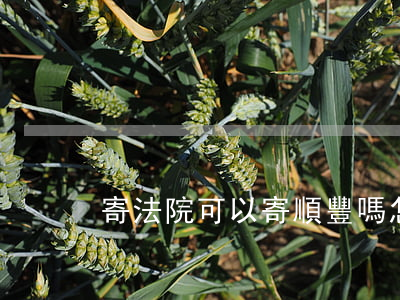 寄法院可以寄順豐嗎(怎么給法院寄快遞)