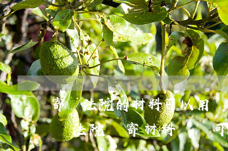 寄給法院的材料可以用順風(fēng)嗎(給法院郵寄材料 順豐可以嗎)