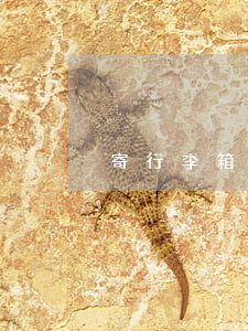 寄行李箱大概多少錢