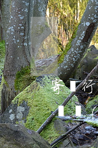 寄賣行營業(yè)執(zhí)照(寄賣行營業(yè)執(zhí)照經(jīng)營范圍)
