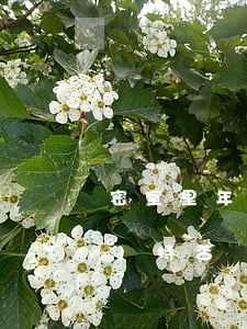 “密室”里年輕女子離奇身亡！家屬堅(jiān)持否認(rèn)是他殺！警方調(diào)查后發(fā)現(xiàn)驚人秘密！