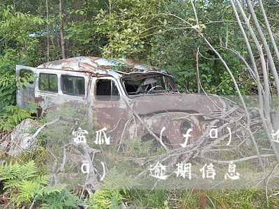 密瓜貸發(fā)來逾期信息(密瓜貸發(fā)來逾期信息)
