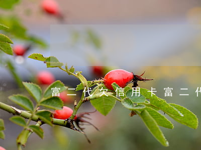 富二代欠信用卡(富二代欠錢不還)