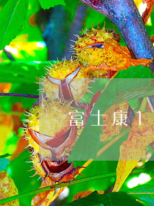 富士康11連跳(富士康11連跳是那一年)